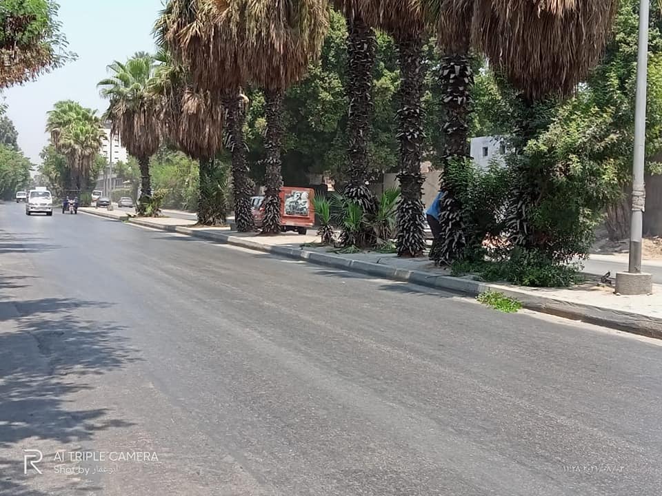 231173745_133534942299733_7922360450500678802_n