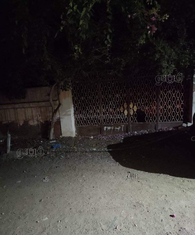 received_226565612805424