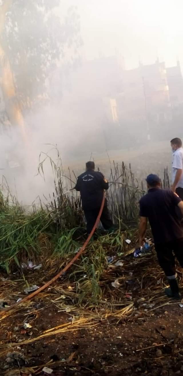 FB_IMG_1628703591209