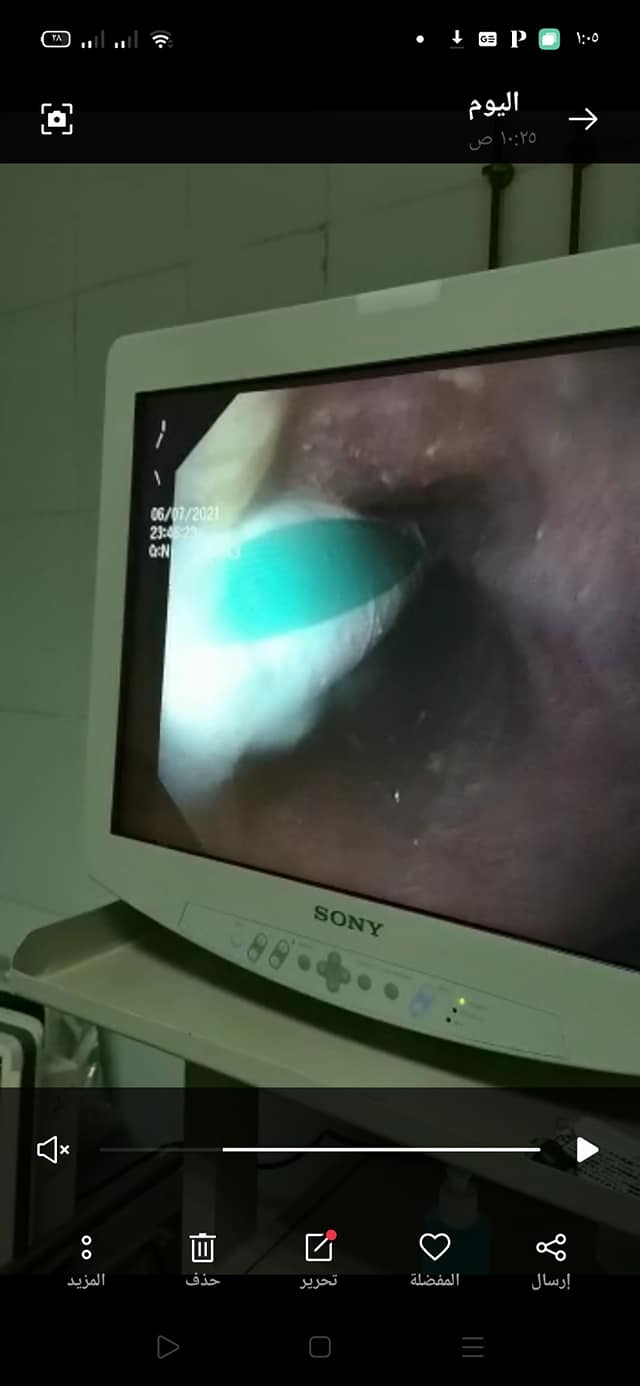 236884296_4291805734231695_7123994680362262814_n