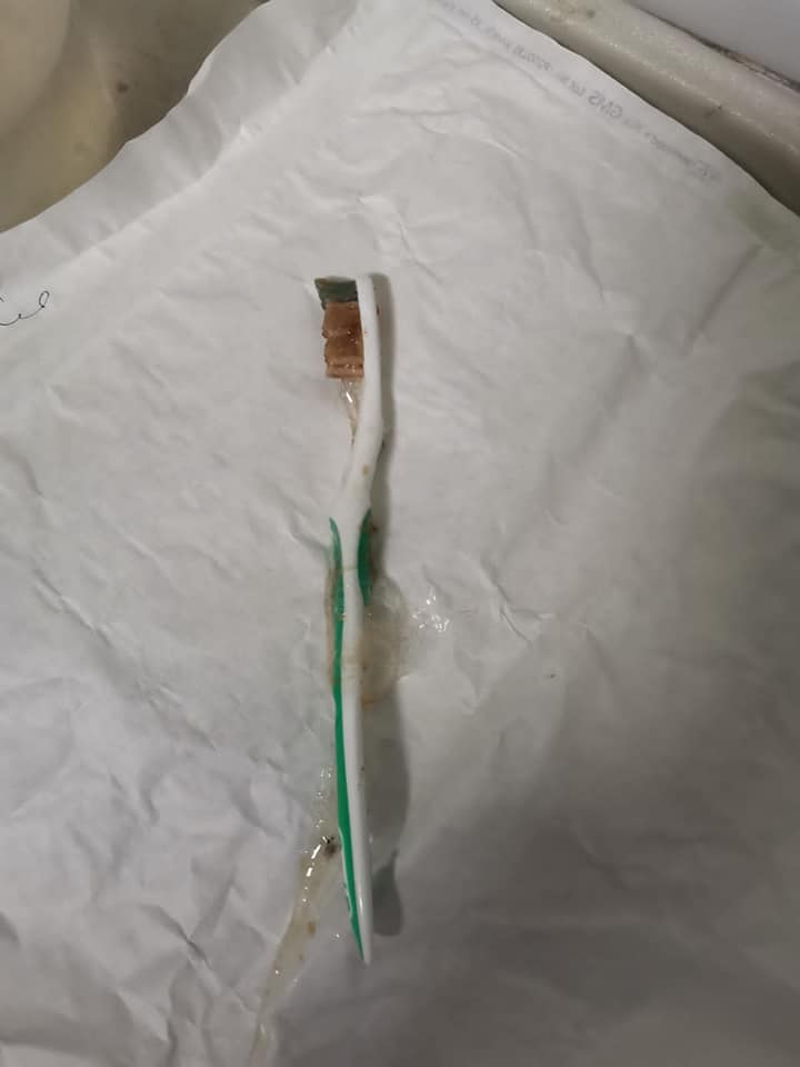 236888499_4291805824231686_2280991383592609823_n