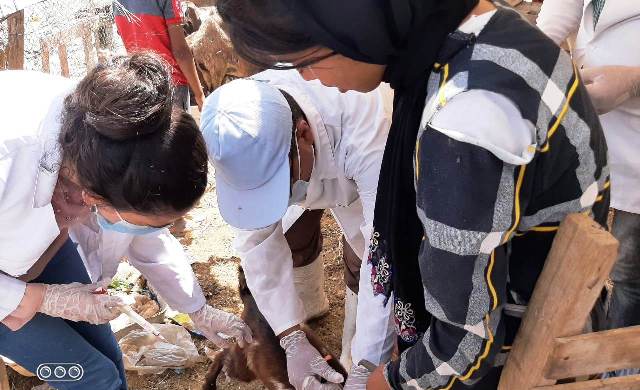 5التدريب المشترك للطب البيطري كلية ومديريه