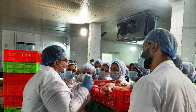 4التدريب المشترك للطب البيطري كلية ومديريه