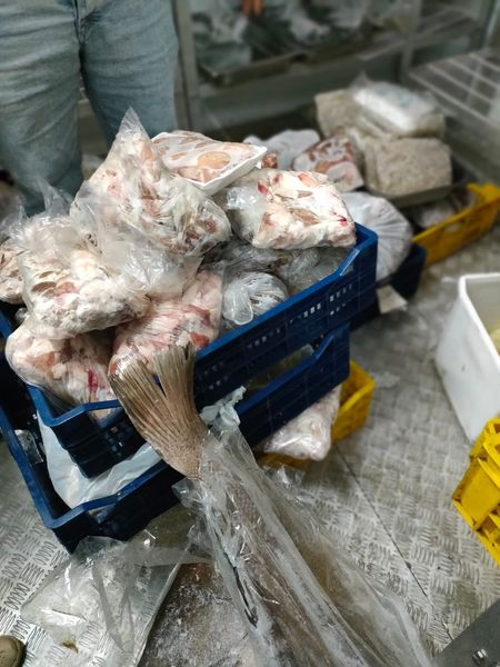 237624089_138528601800367_6919694130353961735_n