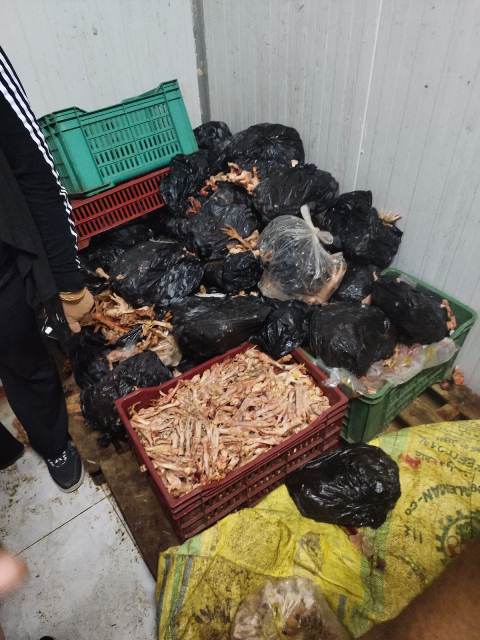 239628935_579097863096757_7998746382820684593_n