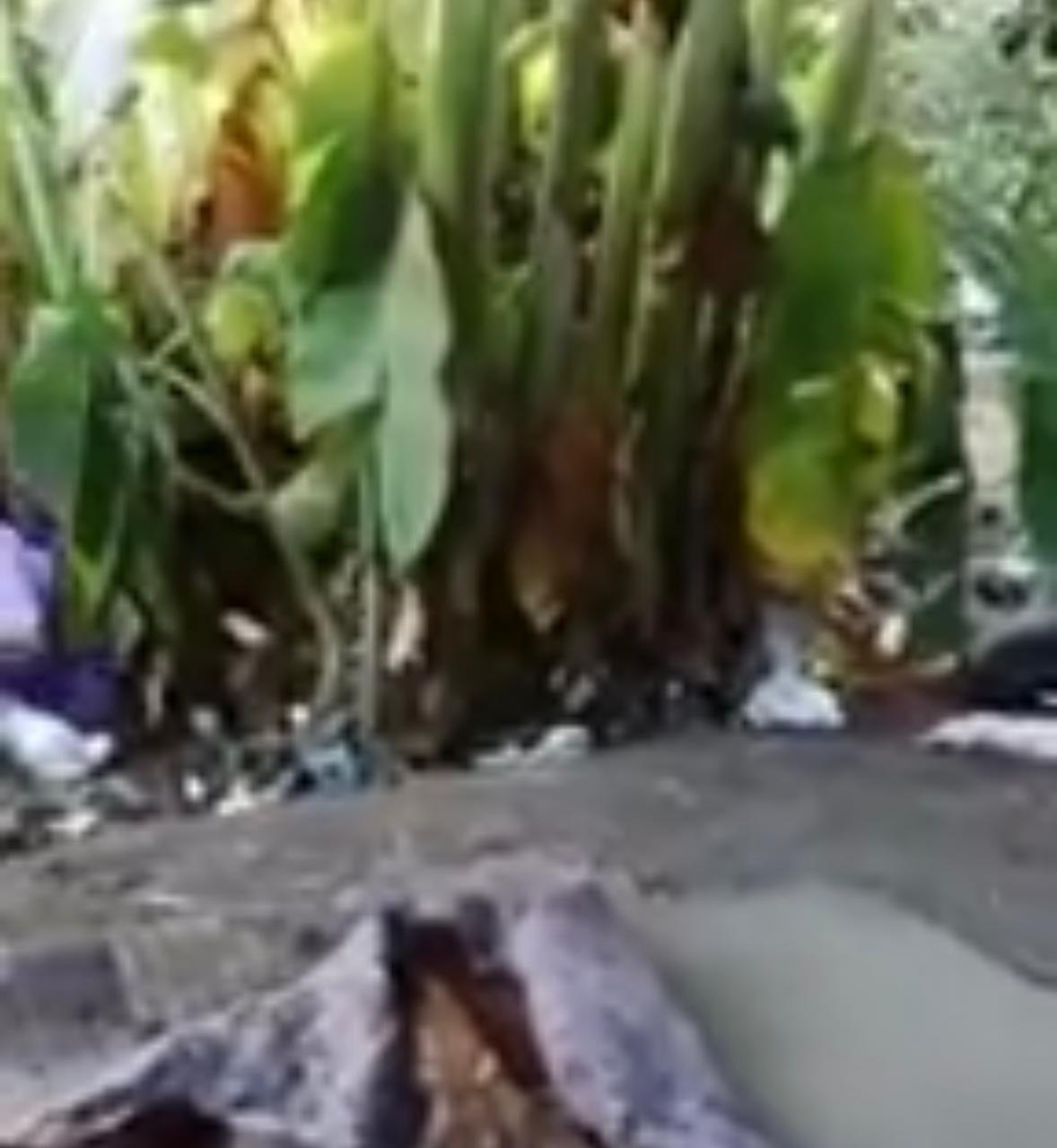 العثور على جثتين بالدقهلية  (8)