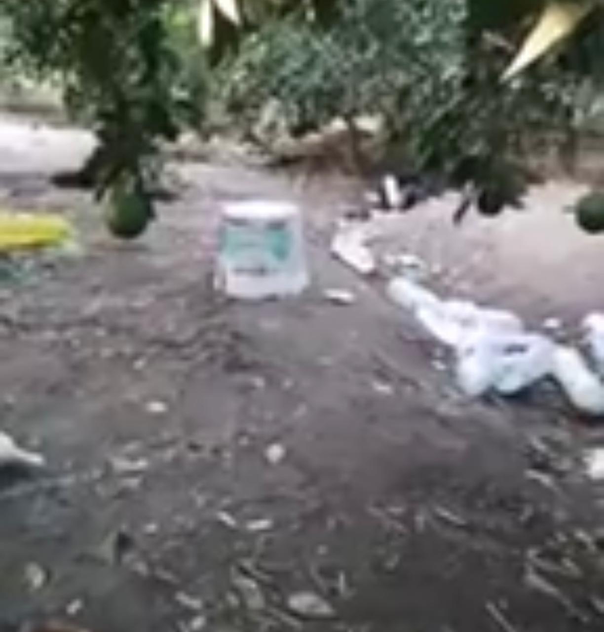 العثور على جثتين بالدقهلية  (11)