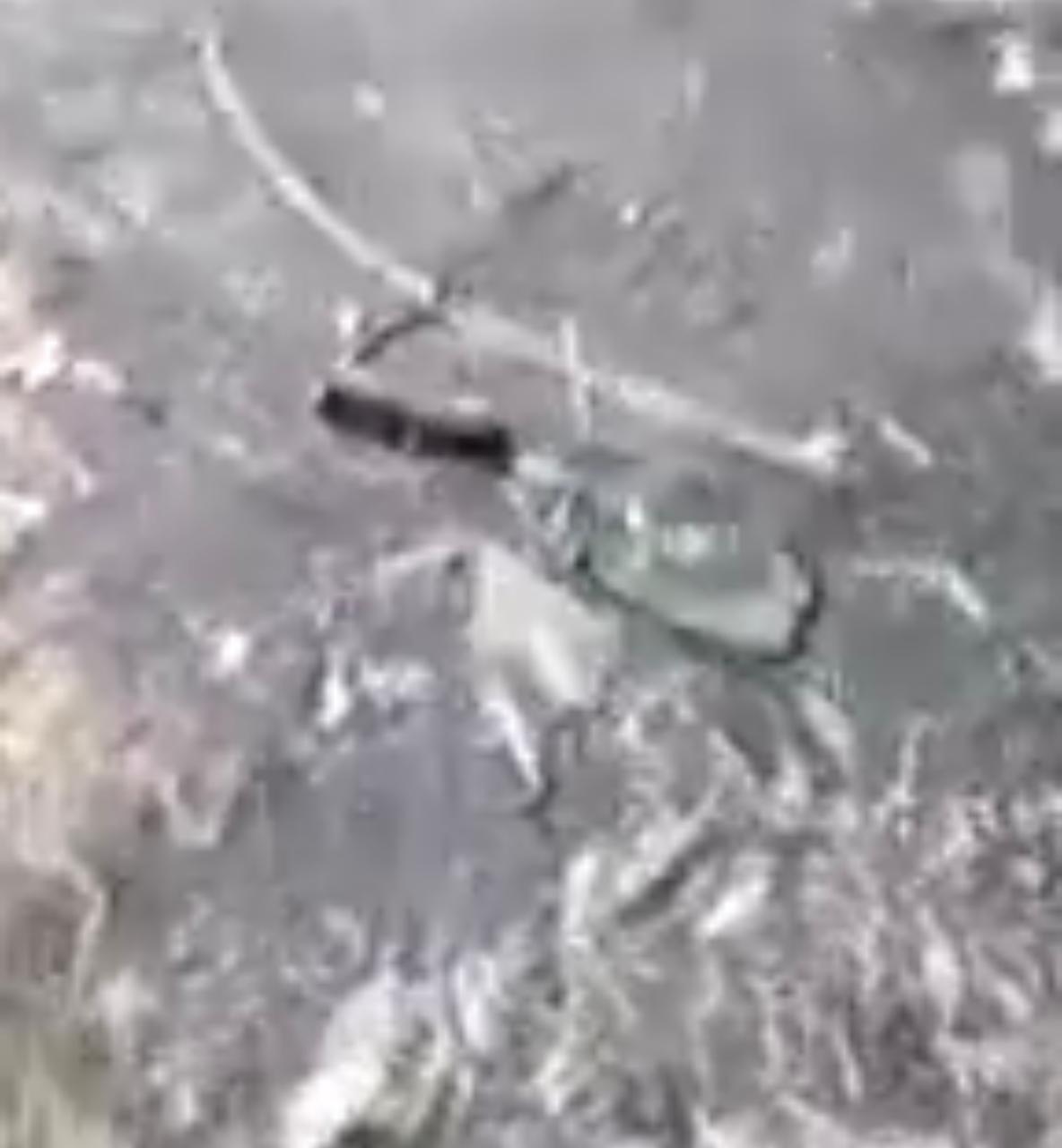 العثور على جثتين بالدقهلية  (14)