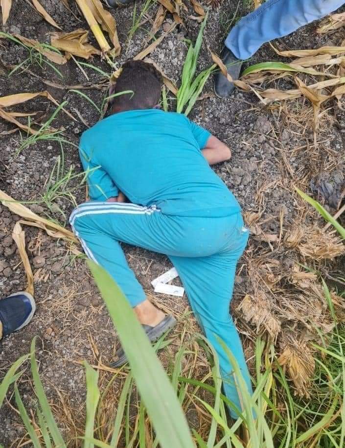 FB_IMG_1629292065466