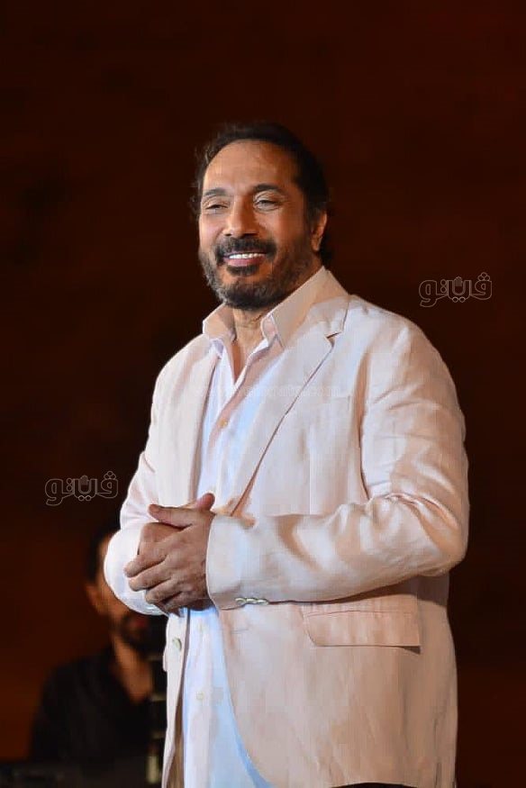 علي الحجار من مهرجان القلعة (12)