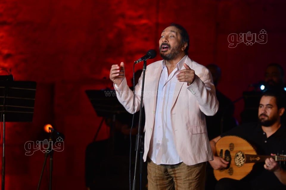 علي الحجار من مهرجان القلعة (13)