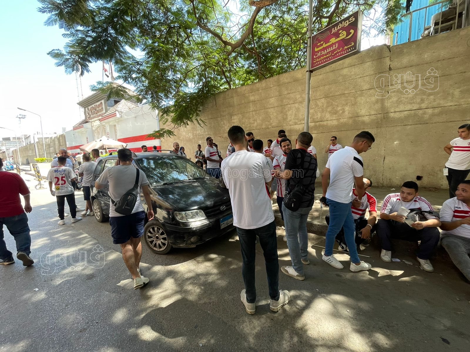 جماهير الزمالك (19)