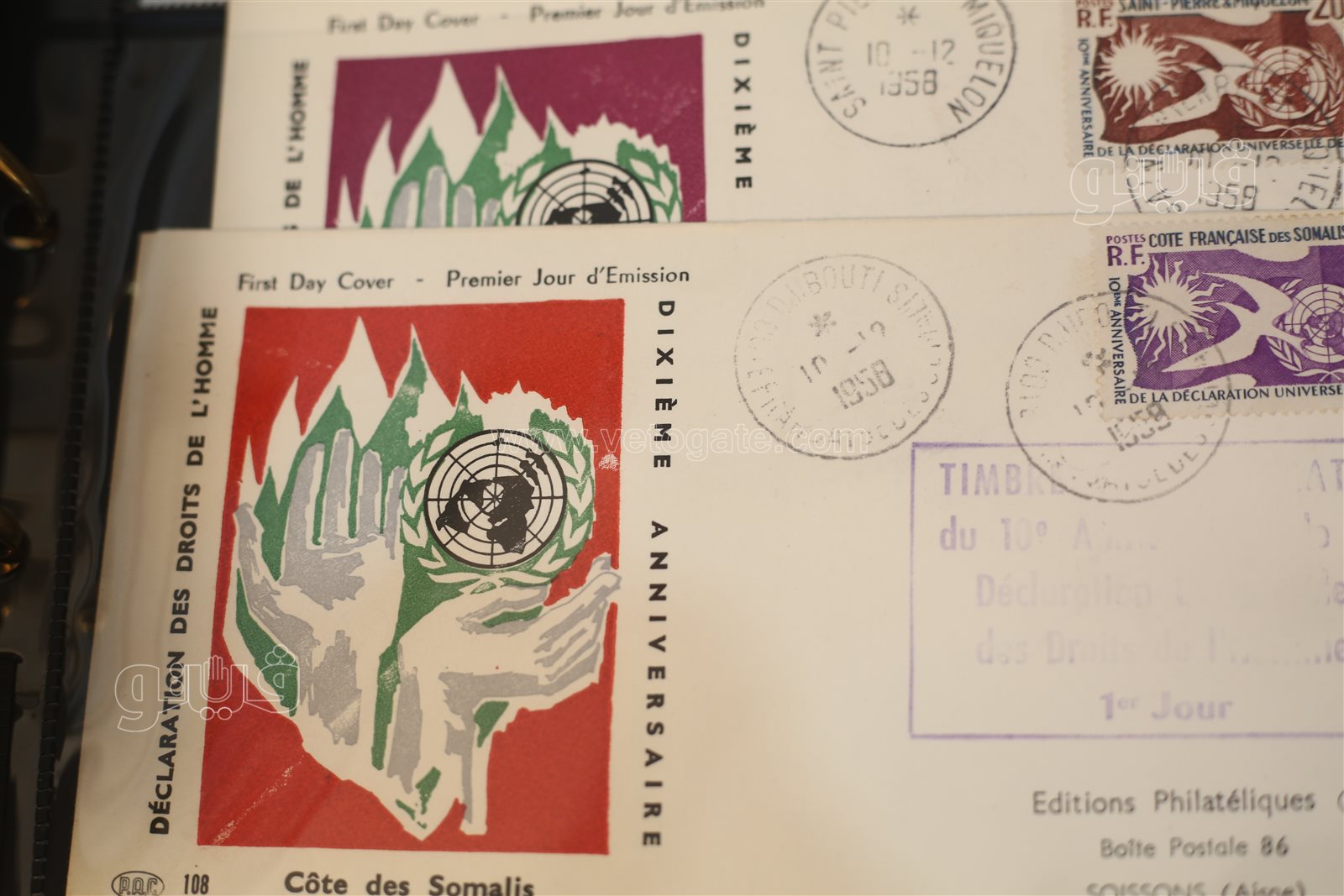 السر في والده.. حكاية دكتور أمراض النساء مع طوابع بريد العالم (9)