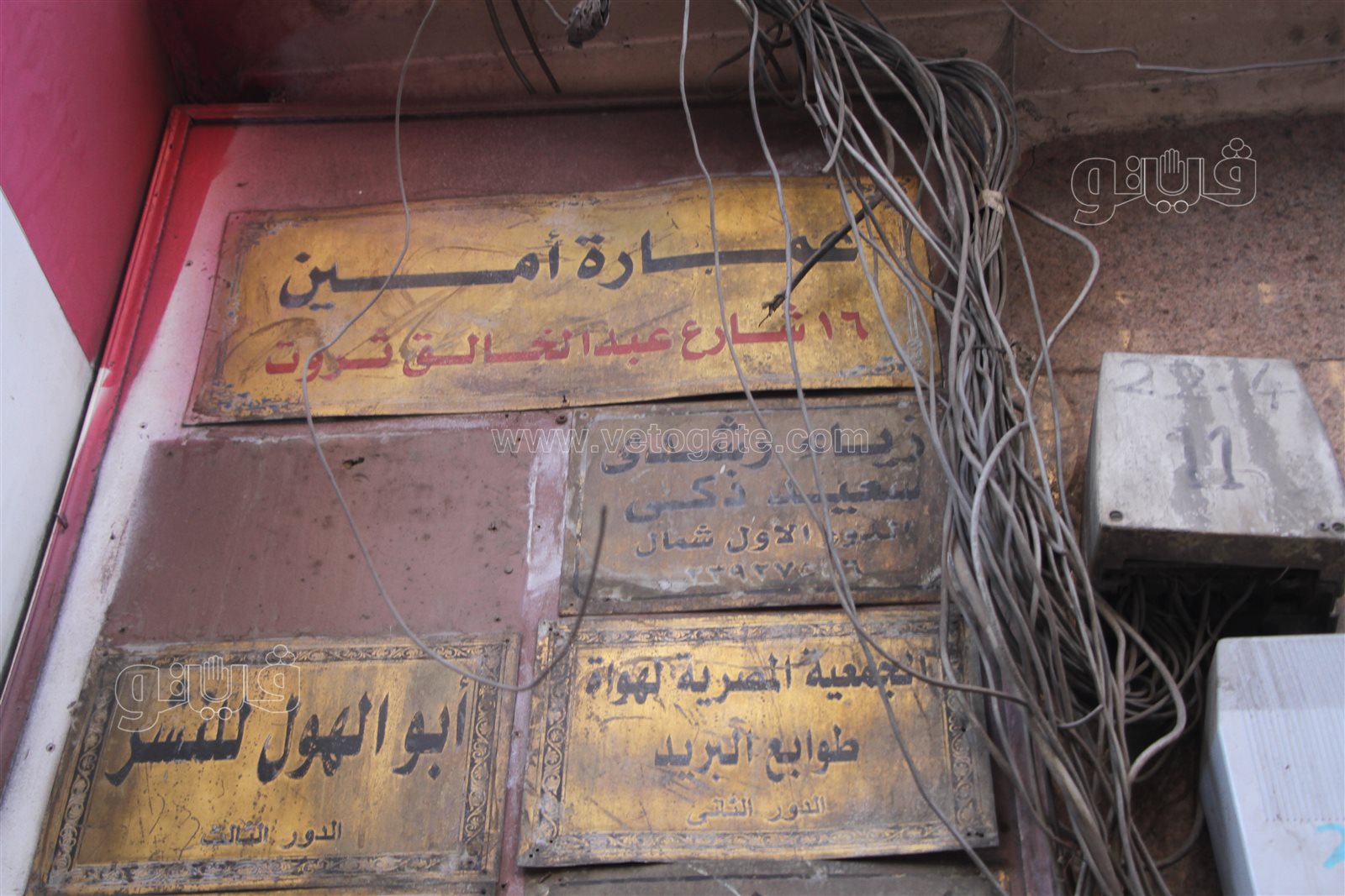 السر في والده.. حكاية دكتور أمراض النساء مع طوابع بريد العالم (21)