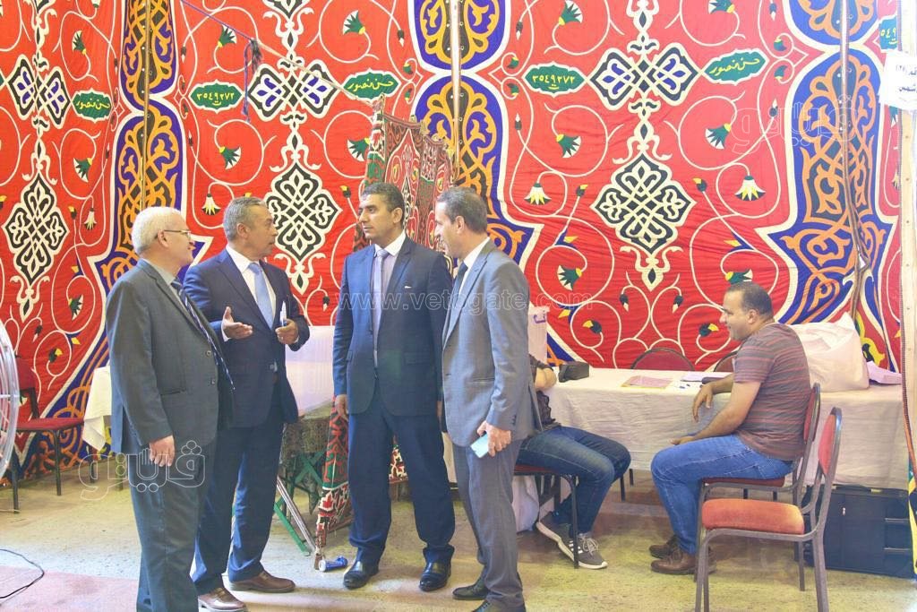 بدء عملية التصويت في انتخابات نقيب المحامين (2)