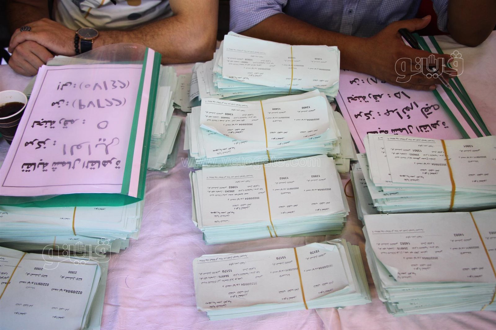 انتخابات نقيب المحامين (14)