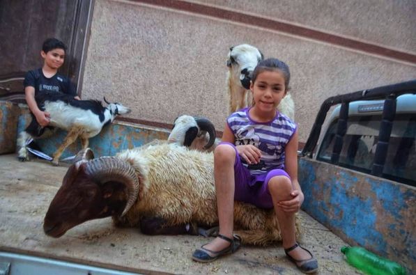 236450284_380763803516576_8690571317422048609_n