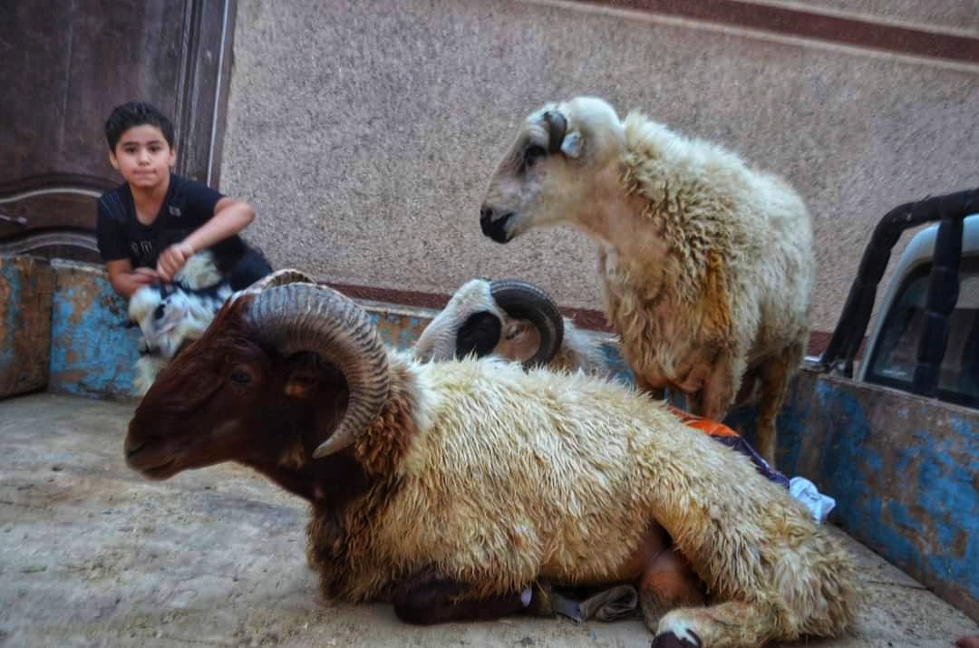 237303507_380763906849899_4382541492265241369_n