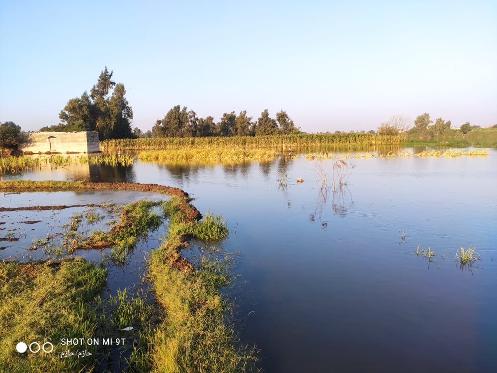 235612142_673394280723033_1072997779074885129_n