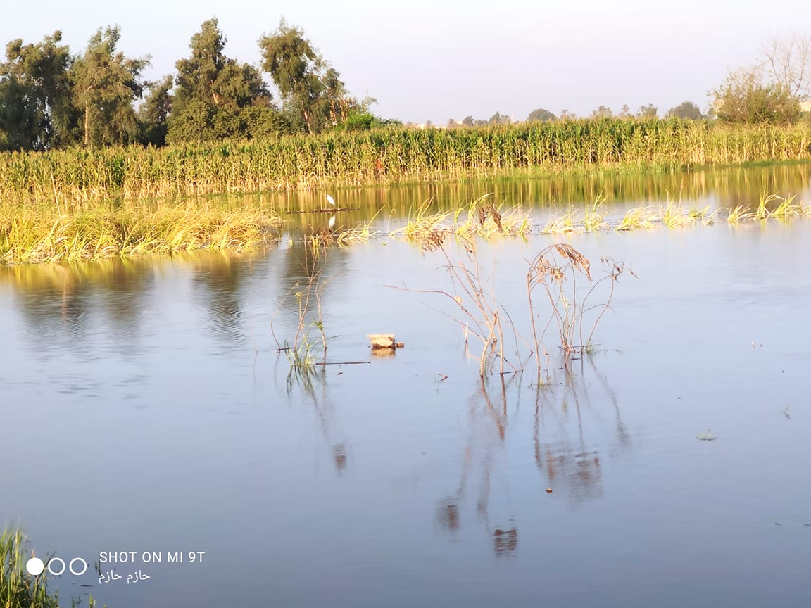 236224664_129586825966293_1609924148298260581_n