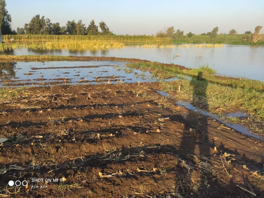 236450295_261984405766872_73457574452776626_n