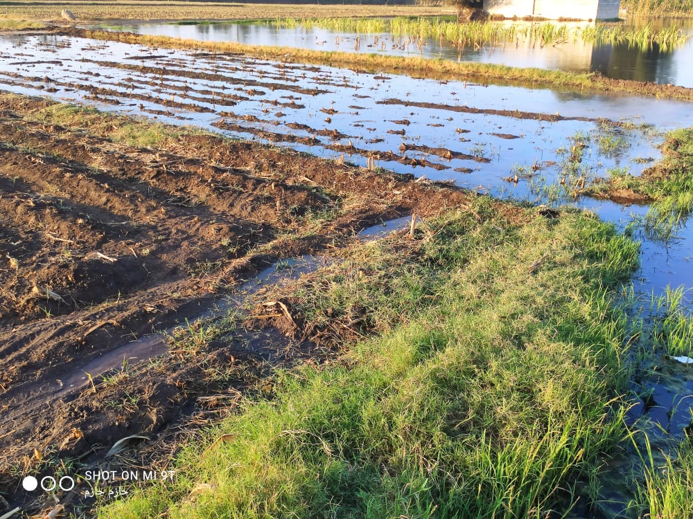 236557723_580742513290480_899510252622094475_n