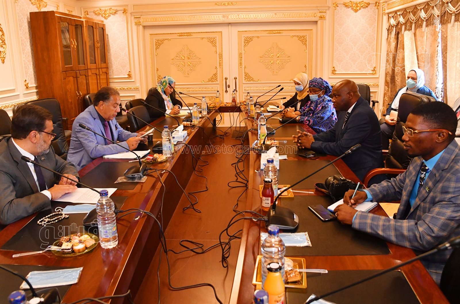 جانب من اجتماع لجنة الشئون الإفريقية بمجلس النواب (7)