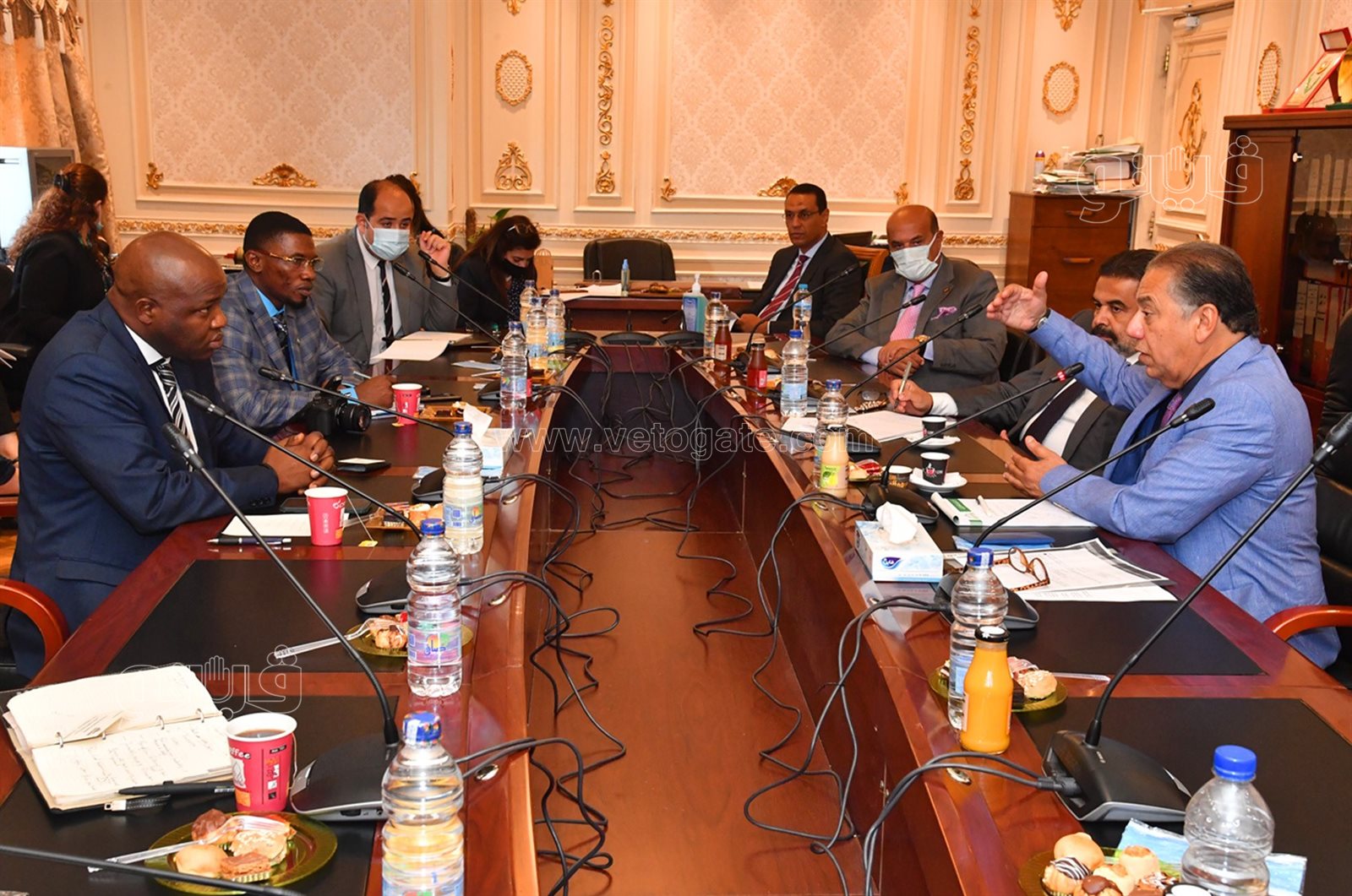 جانب من اجتماع لجنة الشئون الإفريقية بمجلس النواب (10)