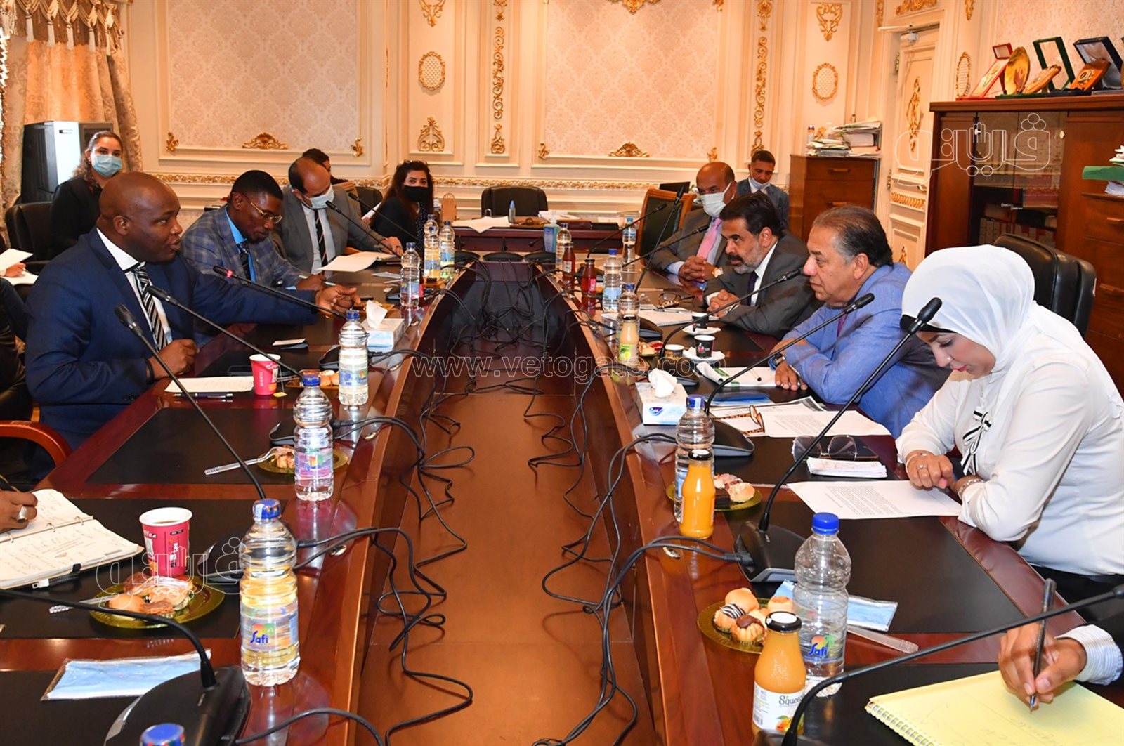 جانب من اجتماع لجنة الشئون الإفريقية بمجلس النواب (11)