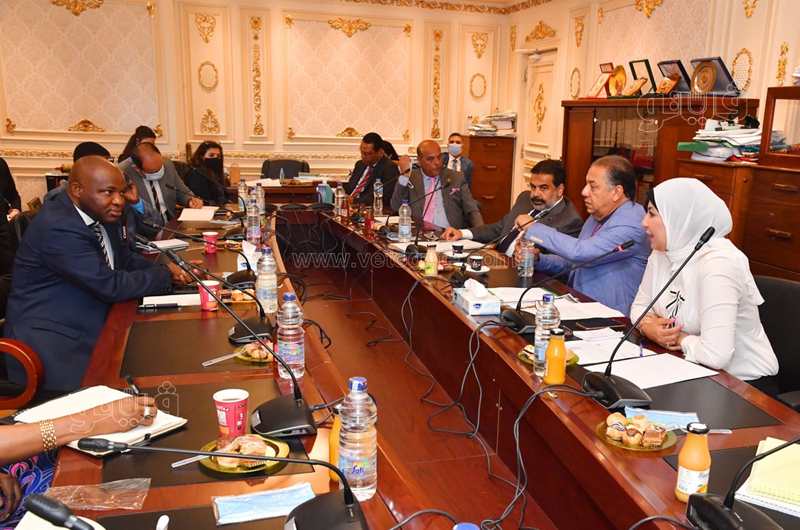 جانب من اجتماع لجنة الشئون الإفريقية بمجلس النواب (12)