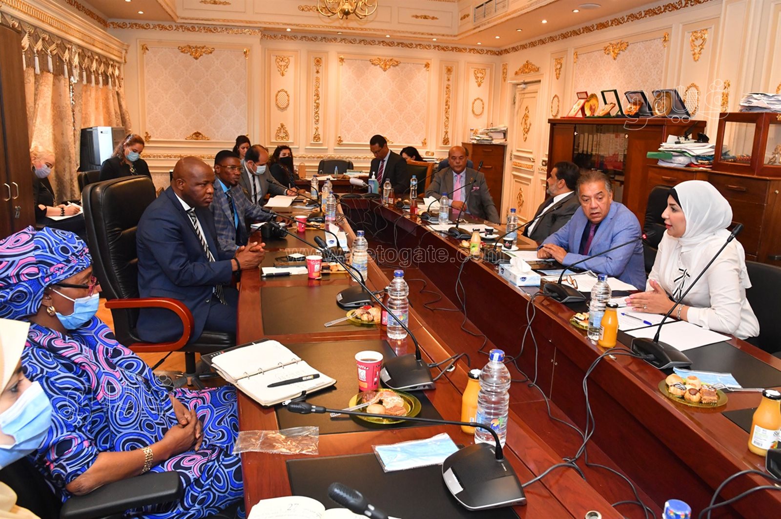 جانب من اجتماع لجنة الشئون الإفريقية بمجلس النواب (13)