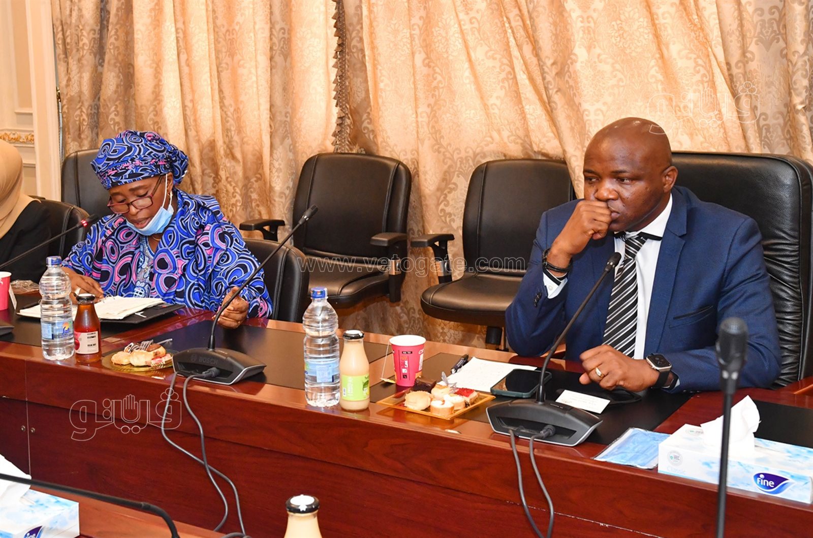 جانب من اجتماع لجنة الشئون الإفريقية بمجلس النواب (1)