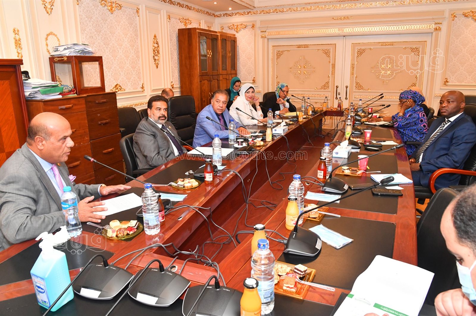 جانب من اجتماع لجنة الشئون الإفريقية بمجلس النواب (2)