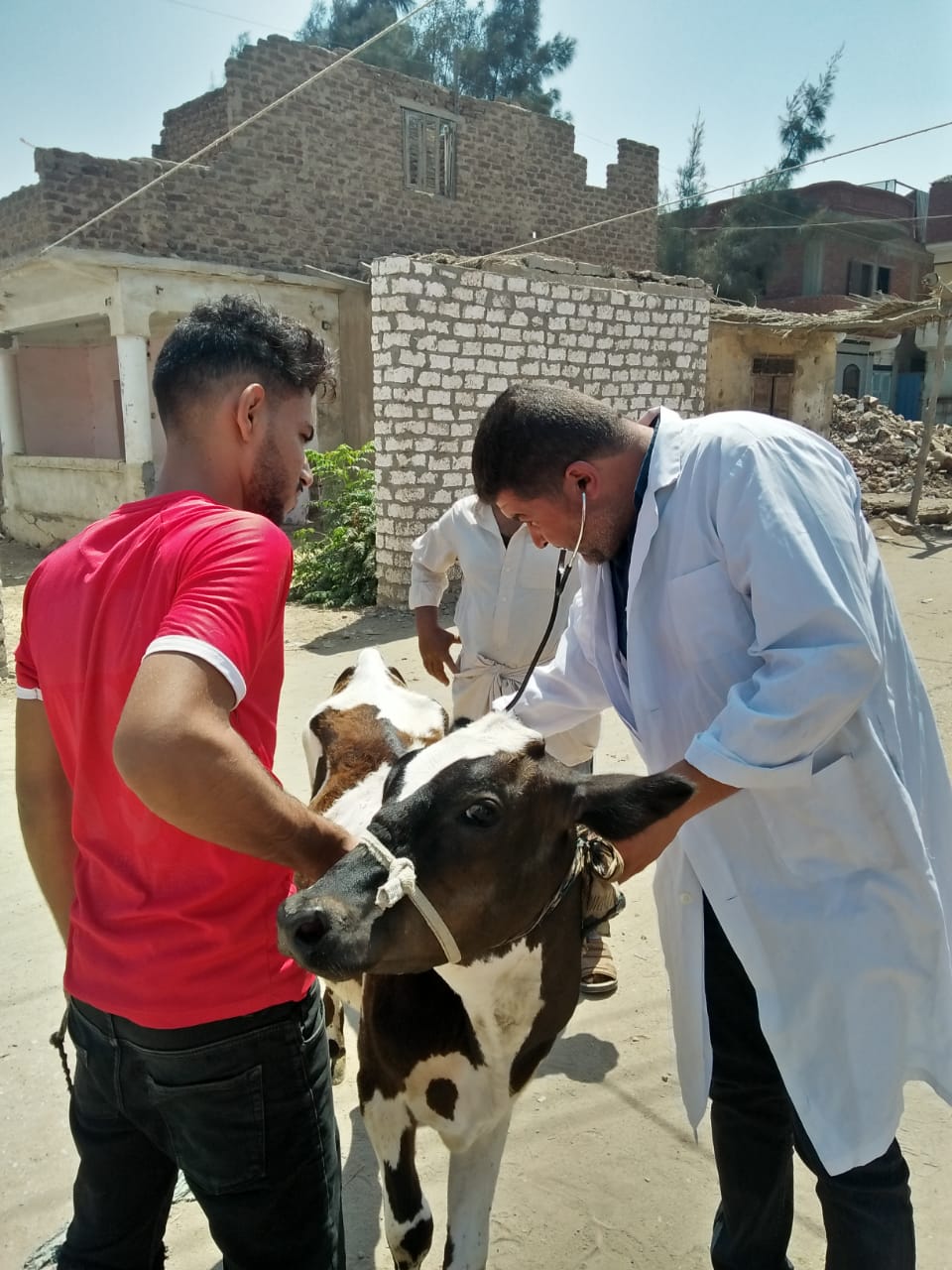 86e7ee50-84b4-458c-9e1e-a949f6b1b615