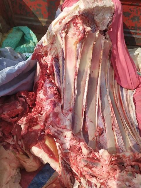 ولحوم منتهية الصلاحية خلال  2