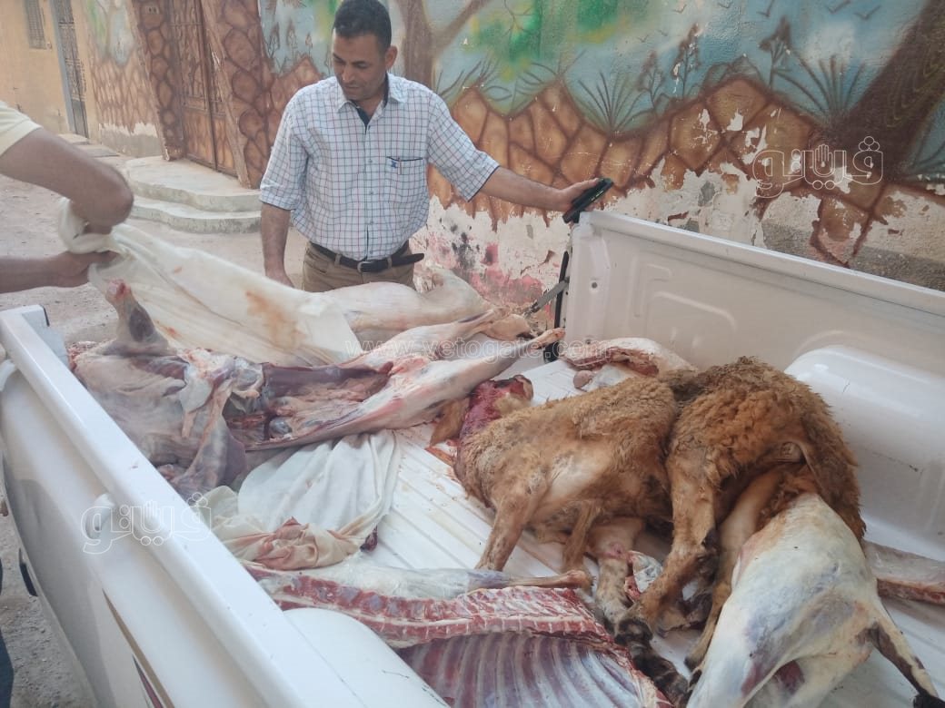 1da2a4ee-8f87-478b-a81d-c3331a69b057 (1)