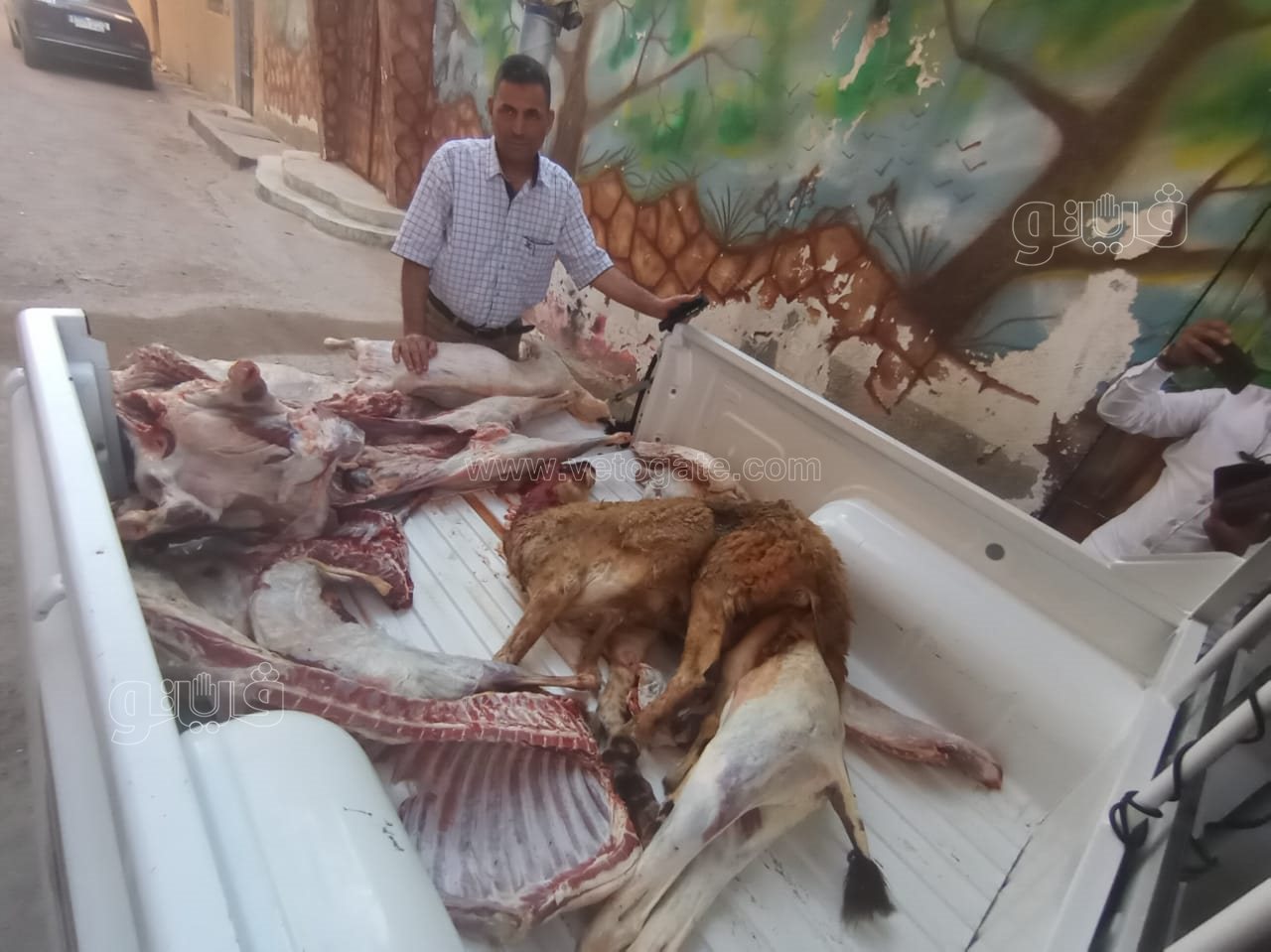 9740dba8-424c-4e36-a052-f437d2d4edf5