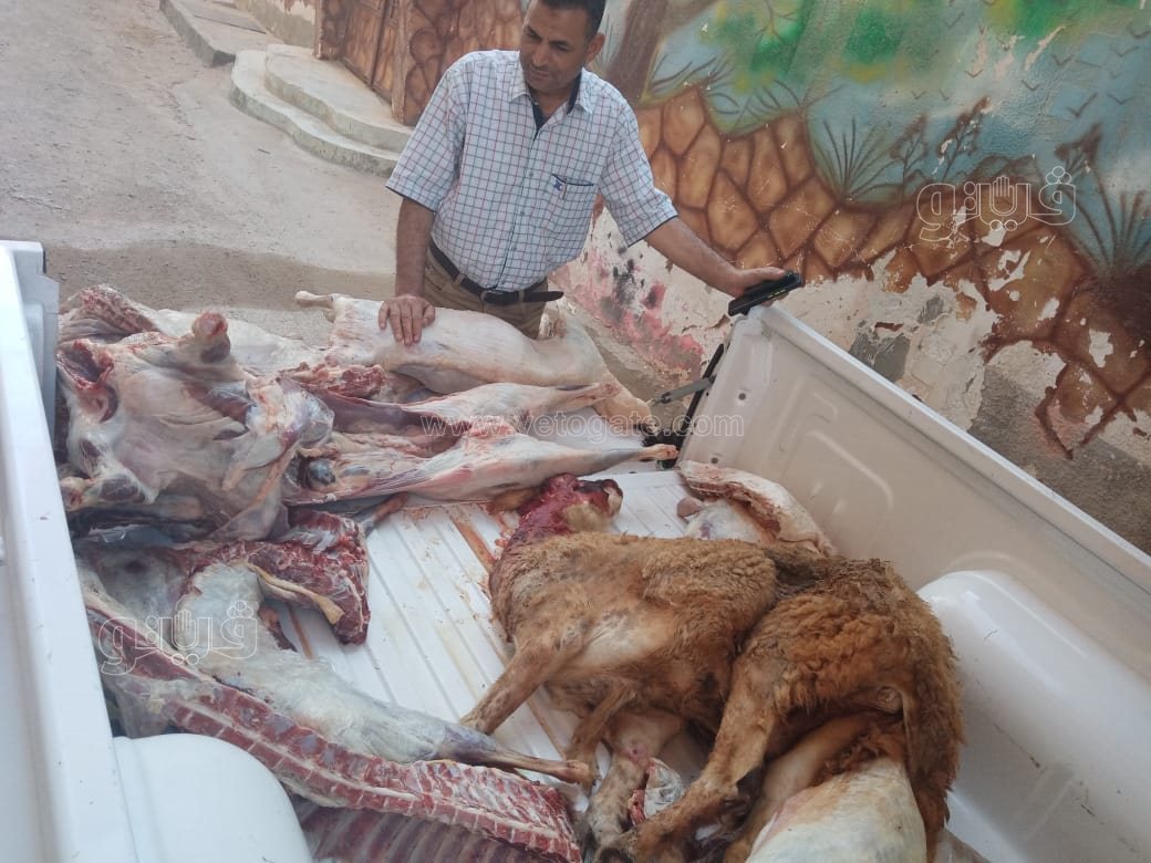 d68ed0da-9b9f-4bfb-8e0a-c9015073687b