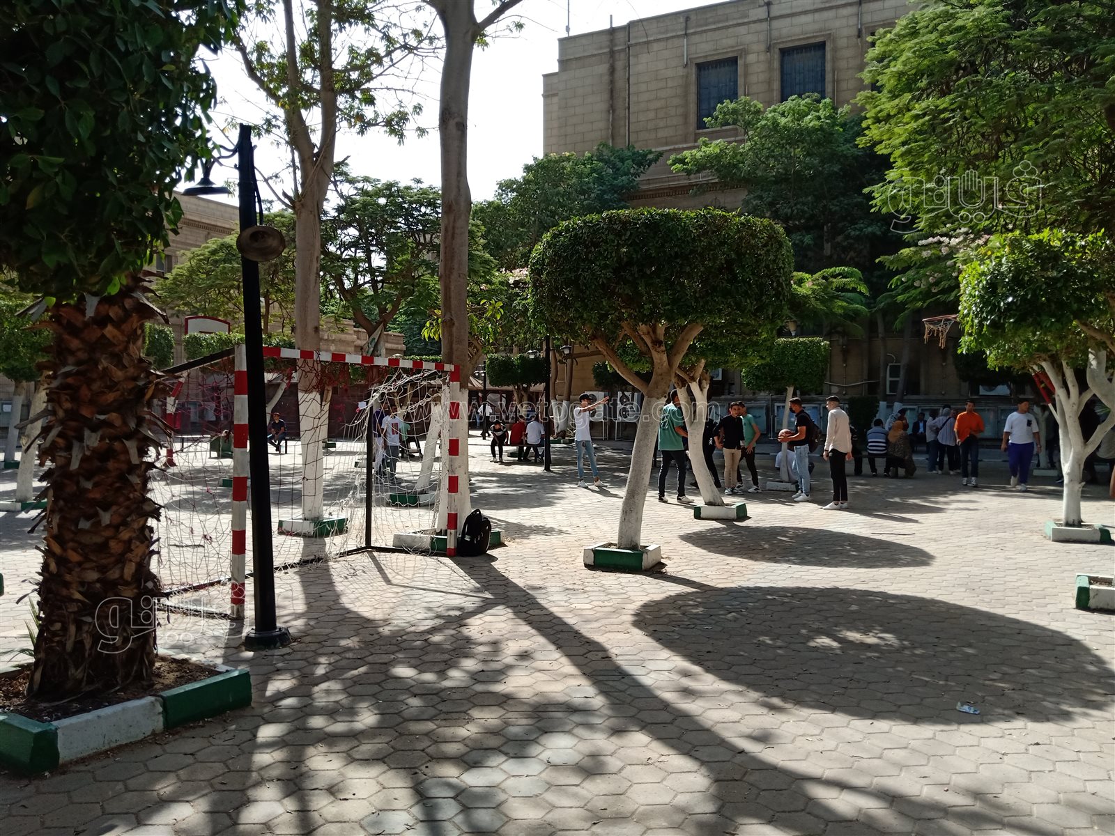 جامعة حلوان (10)