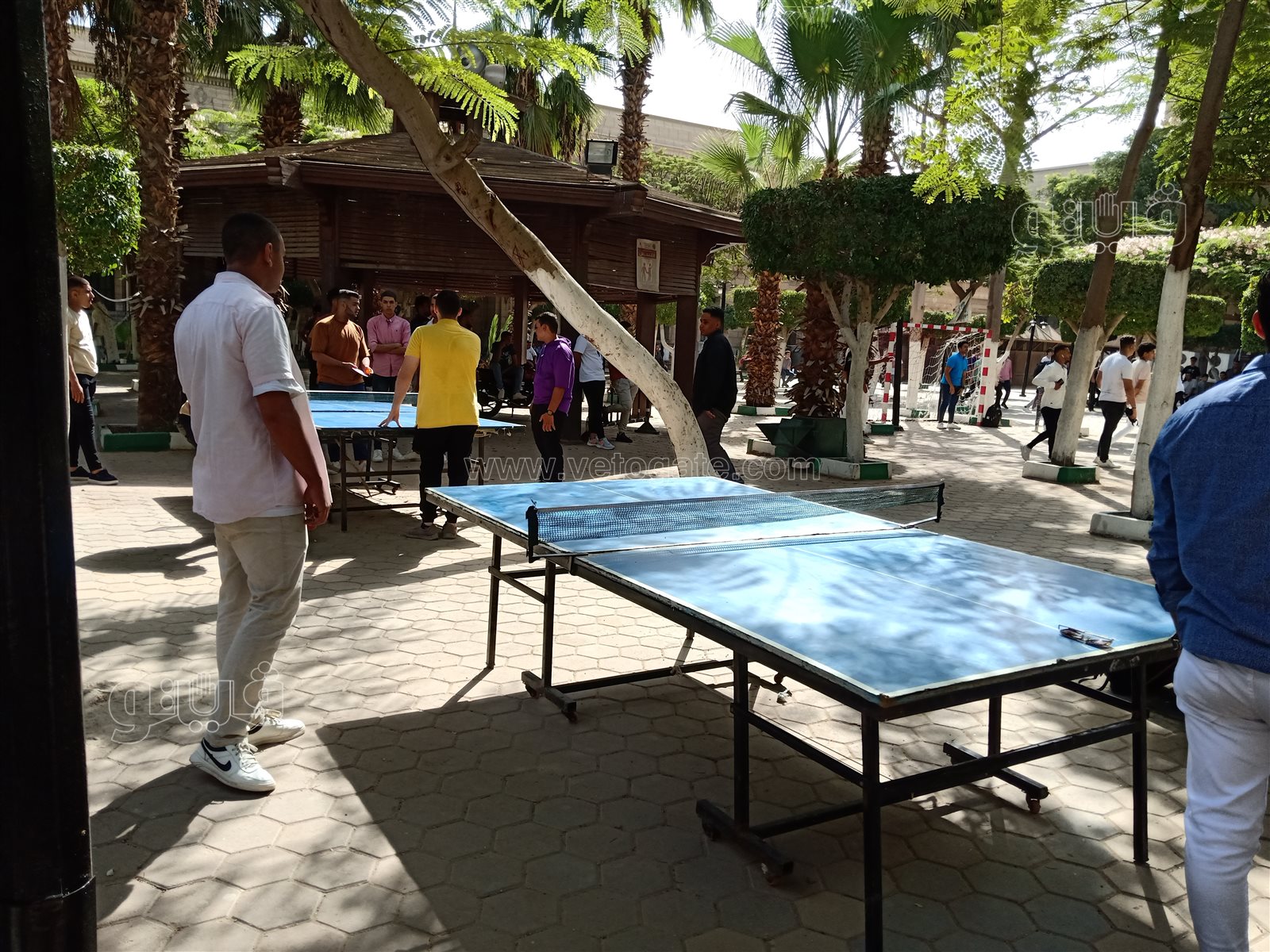 جامعة حلوان (7)