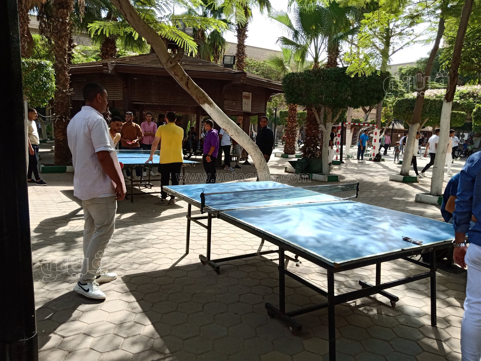 جامعة حلوان (8)