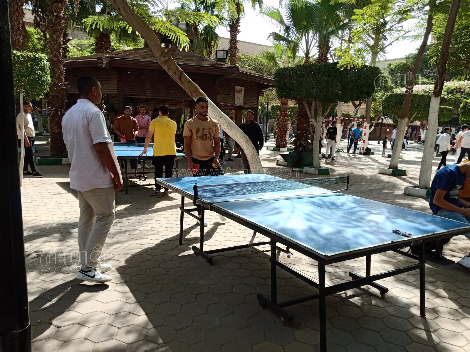 جامعة حلوان (9)