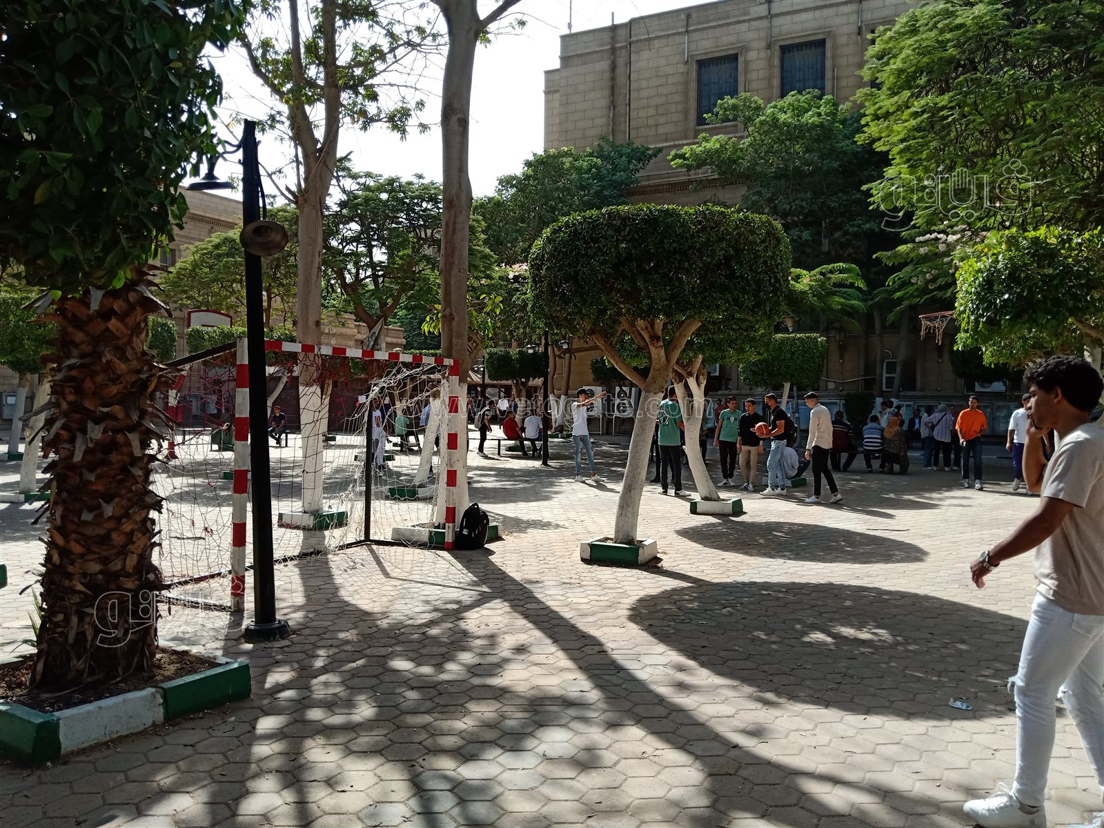 جامعة حلوان (11)