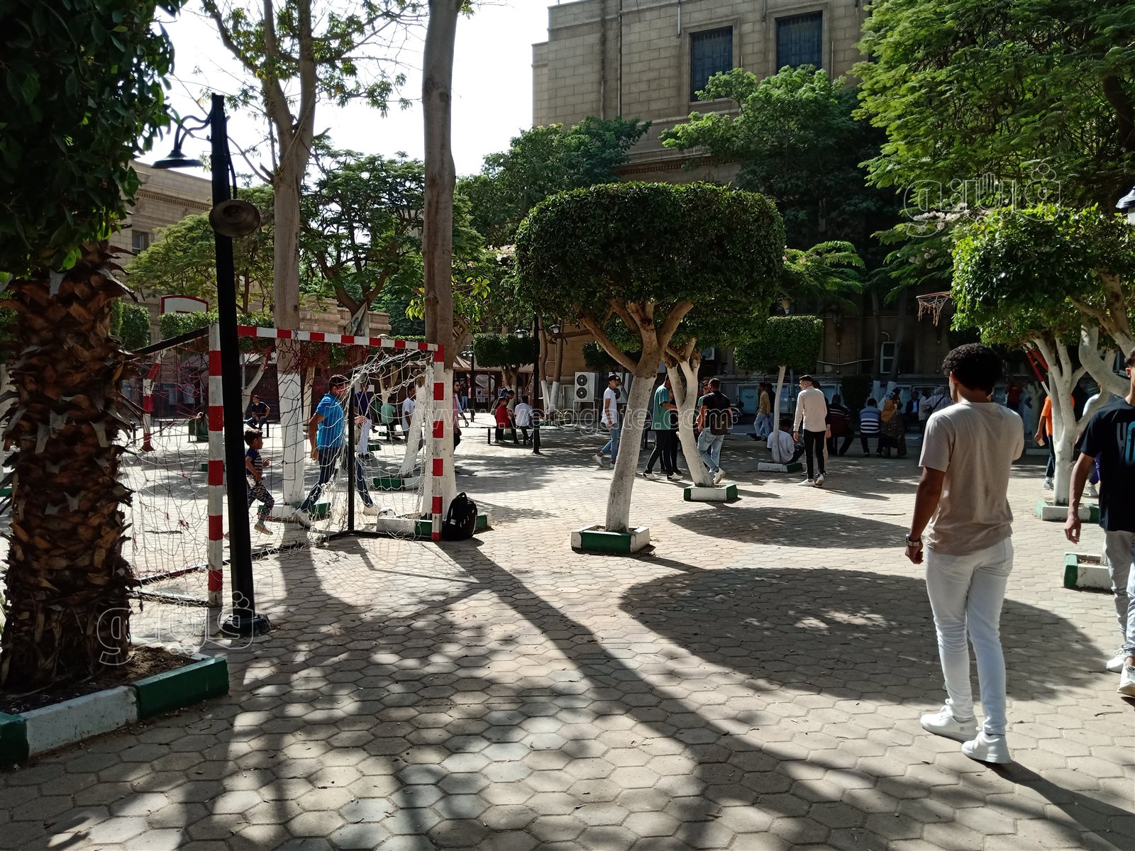 جامعة حلوان (12)