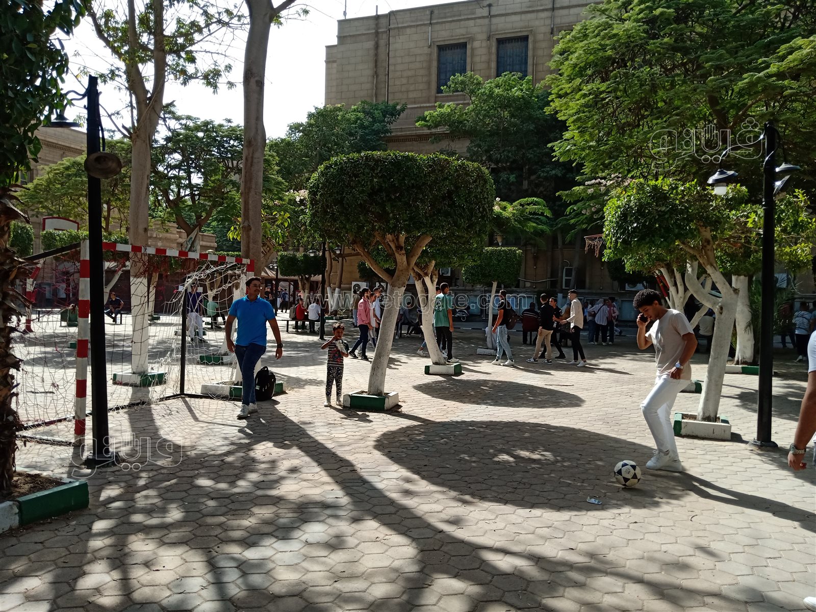 جامعة حلوان (13)