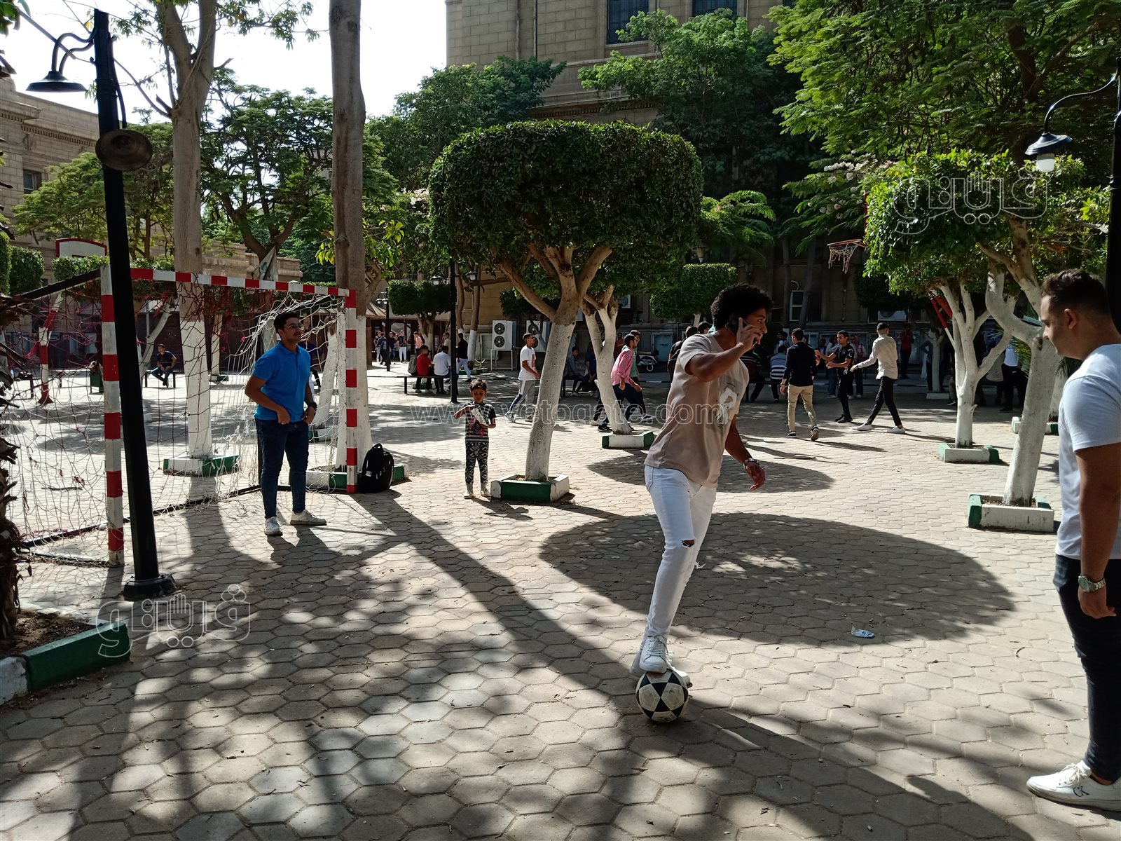 جامعة حلوان (14)