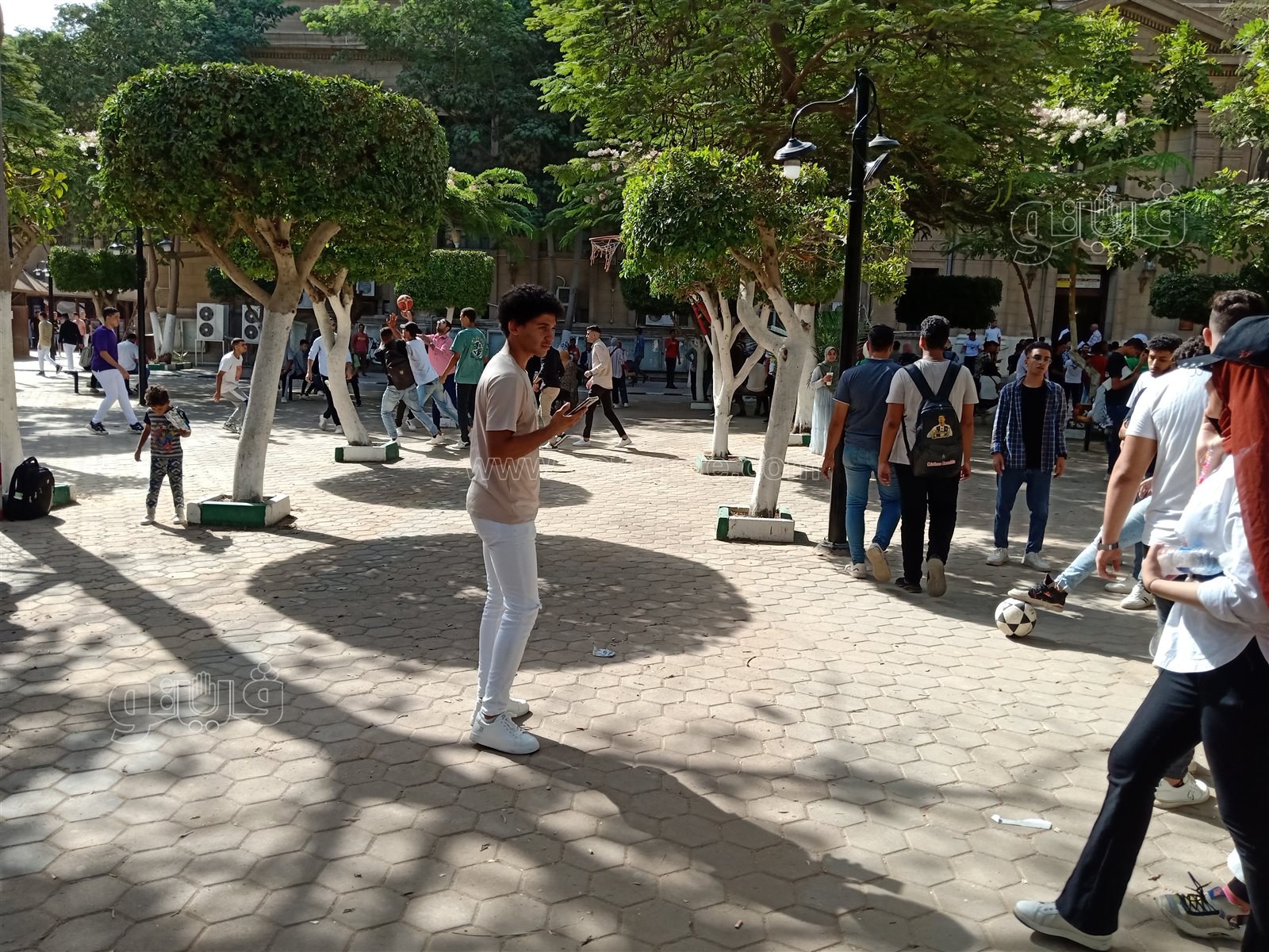 جامعة حلوان (15)