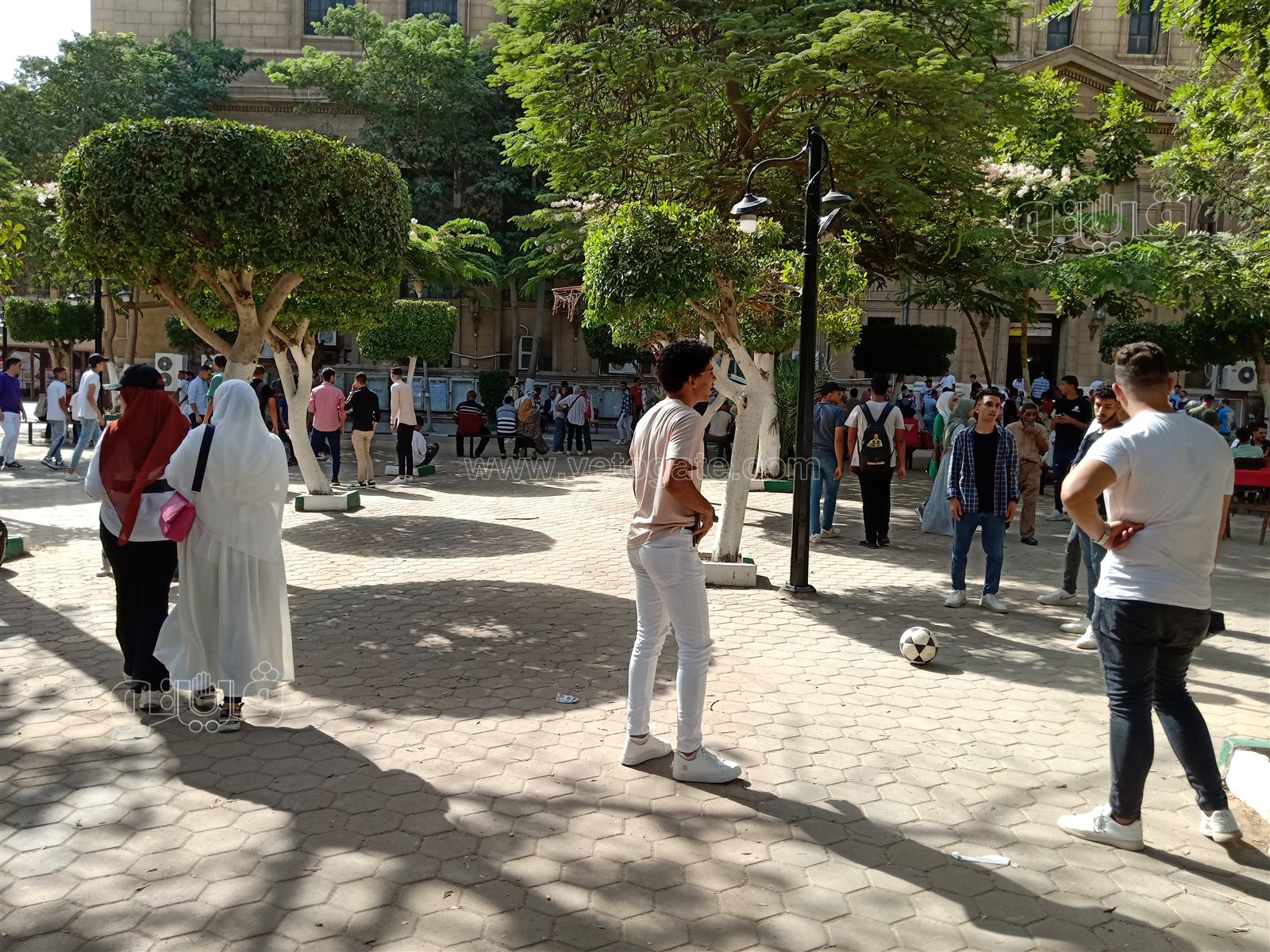 جامعة حلوان (17)