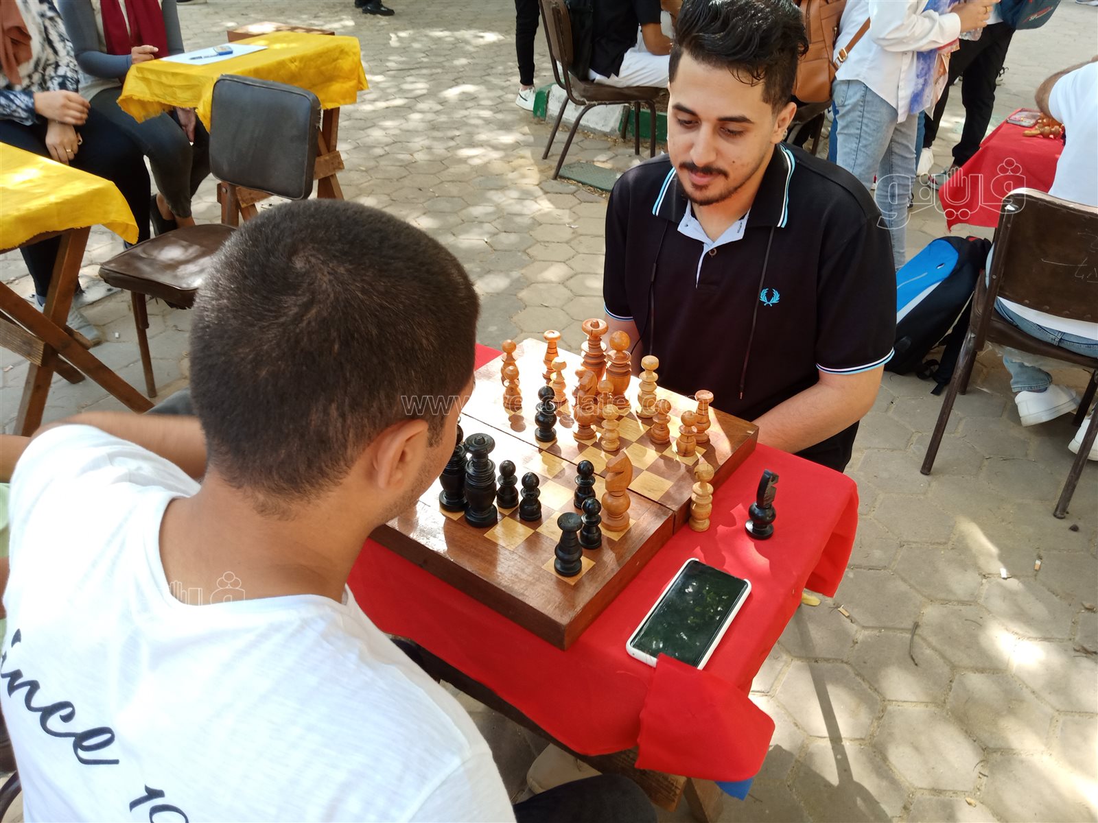 جامعة حلوان (19)