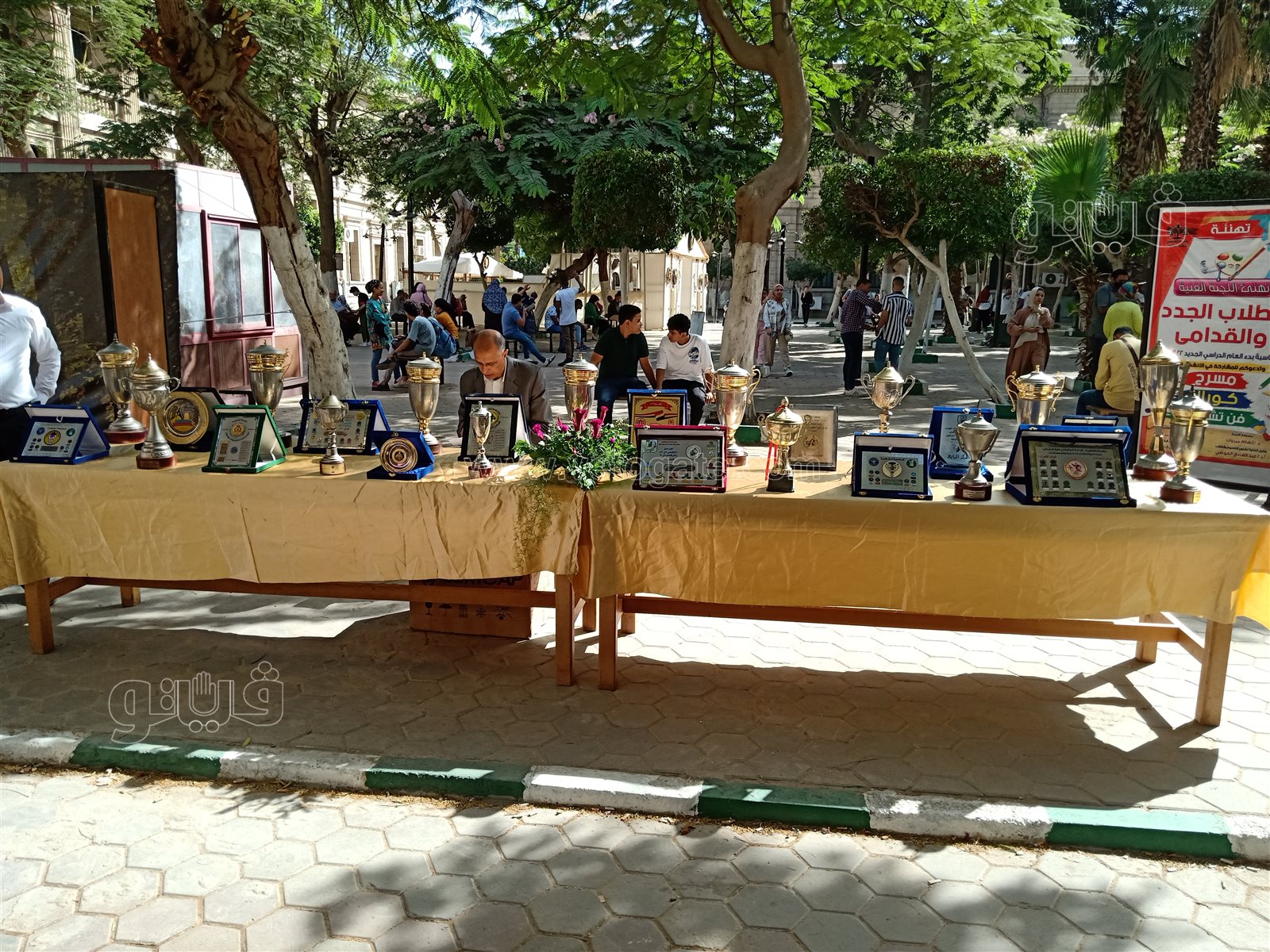 جامعة حلوان (22)